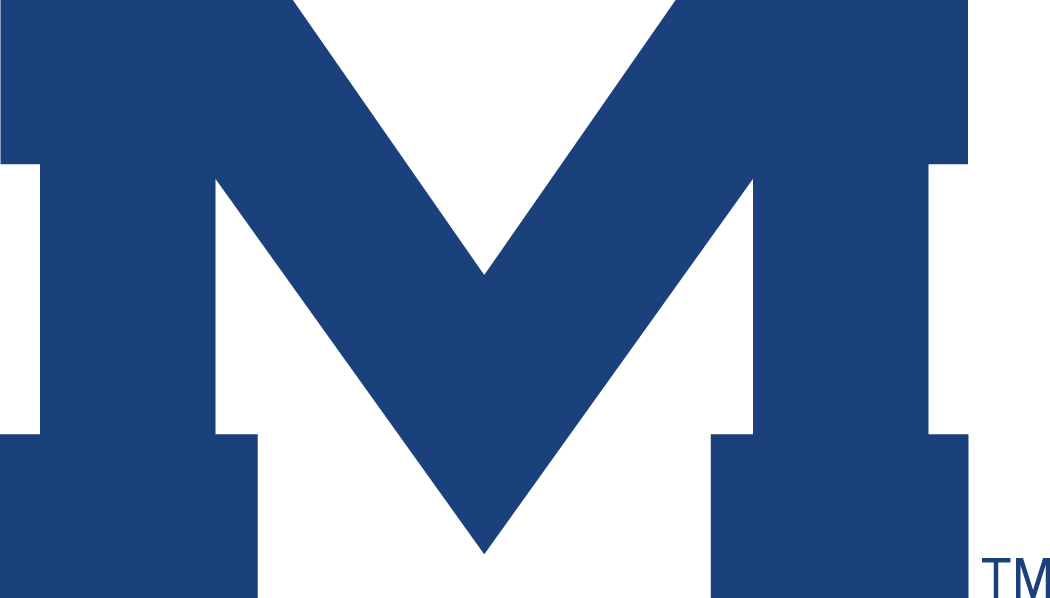 Mississippi Rebels 1996-Pres Alternate Logo v6 diy fabric transfer